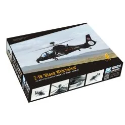 Dream Model Maqueta Z19 Black Whirlwind