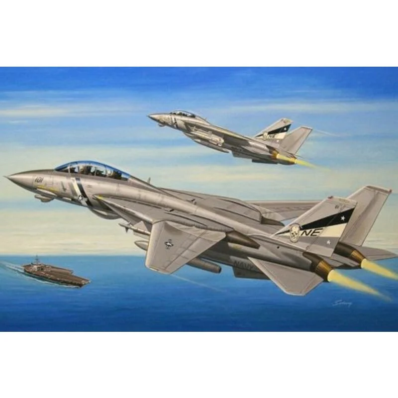 Hobby Boss Maqueta Grumman F-14D Super Tomcat 3 Hobby Boss Maqueta Grumman F-14D Super Tomcat